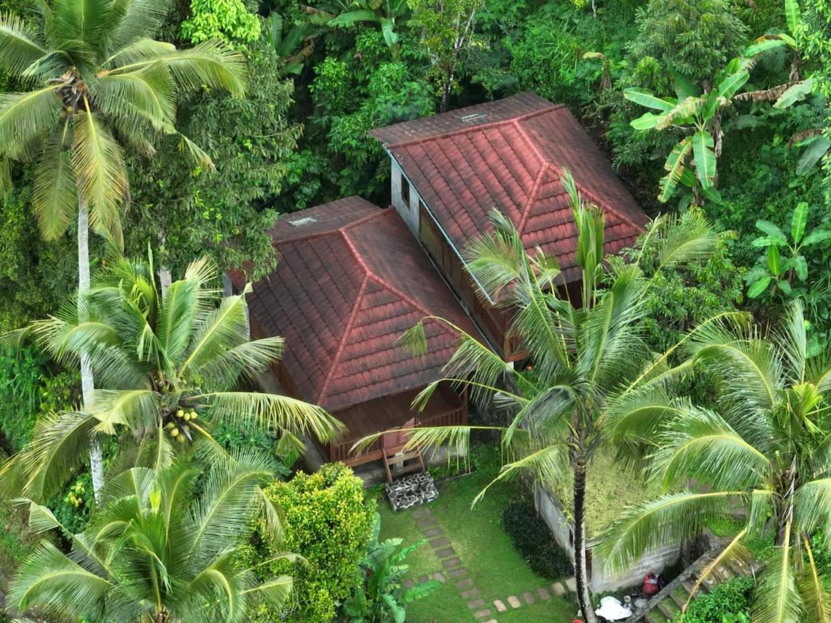 Uma D'Nyuh Homestay Singaraja Eksteriør bilde