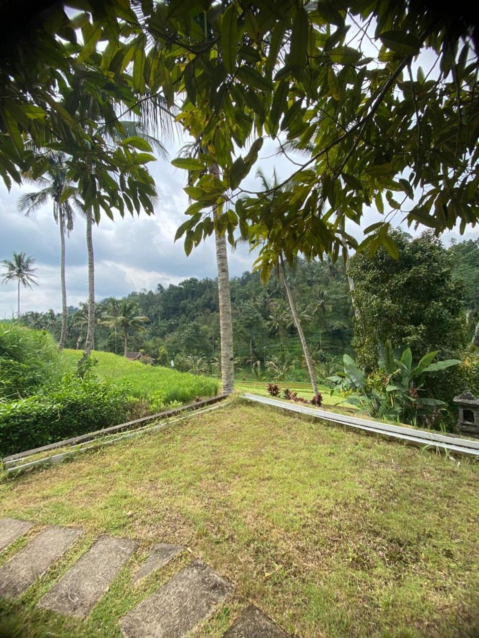 Uma D'Nyuh Homestay Singaraja Eksteriør bilde