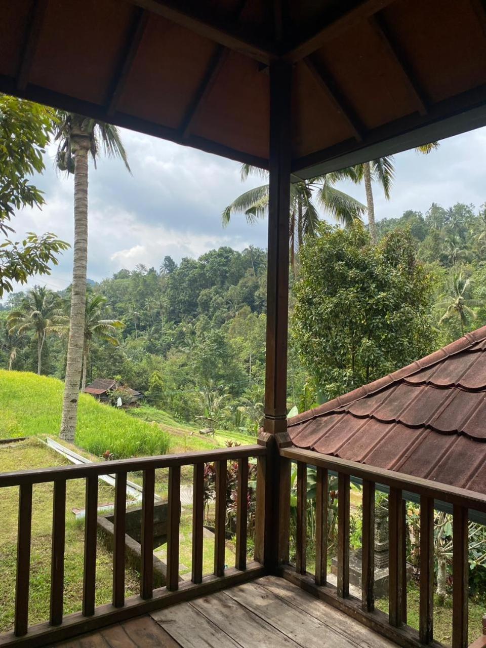 Uma D'Nyuh Homestay Singaraja Eksteriør bilde